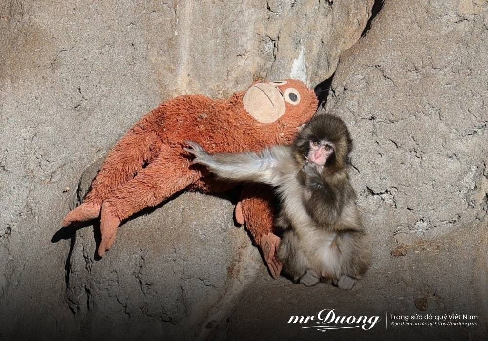 punch-chu-khi-co-don-day-cho-chung-ta-mot-bai-hoc-trong-cuoc-song-1