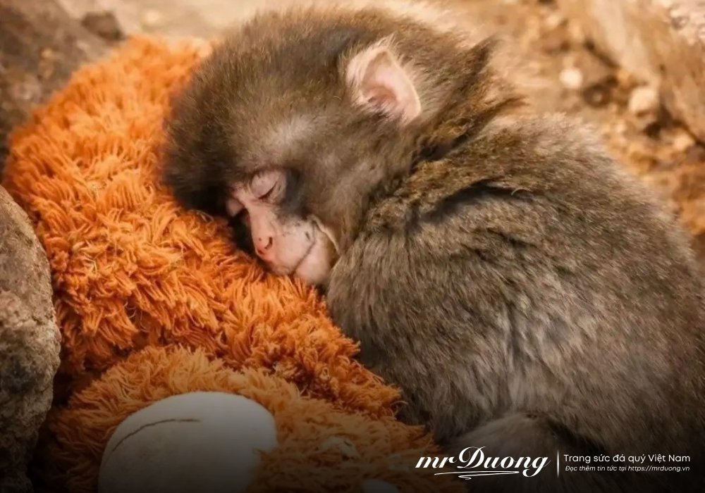 punch-chu-khi-co-don-day-cho-chung-ta-mot-bai-hoc-trong-cuoc-song-2