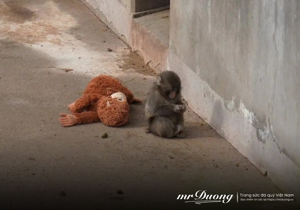 punch-chu-khi-co-don-day-cho-chung-ta-mot-bai-hoc-trong-cuoc-song-3