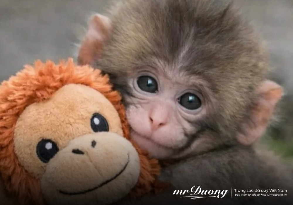 punch-chu-khi-co-don-day-cho-chung-ta-mot-bai-hoc-trong-cuoc-song