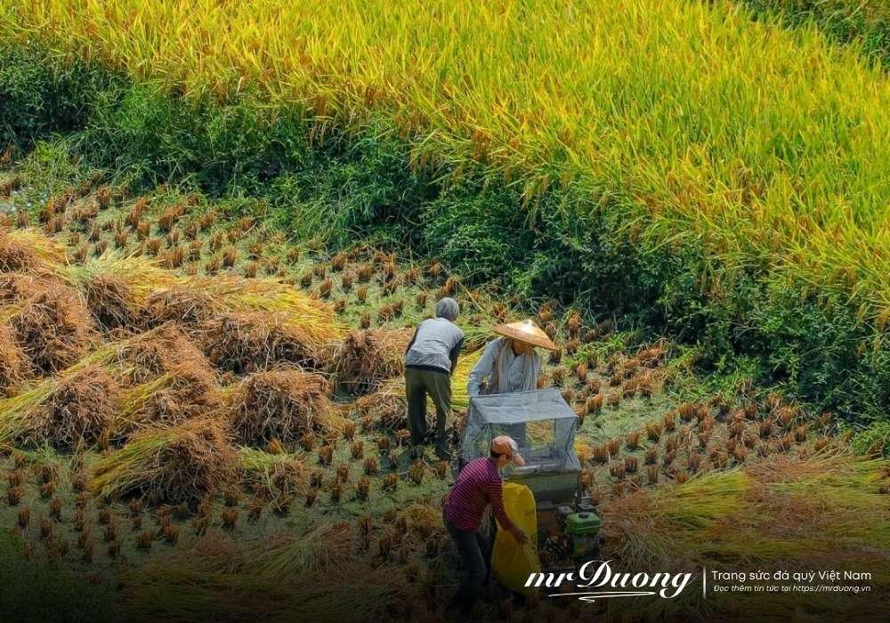 trao-luu-bo-pho-ve-que-khong-con-chi-la-o-gioi-tre-tuong-lai-nguoi-giau-cung-se-nhu-vay-3