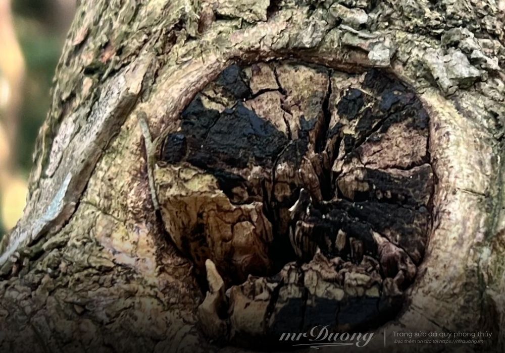 boc-phot-tram-huong-rat-khan-hiem-nhung-van-duoc-ban-tran-lan-tren-thi-truong-1